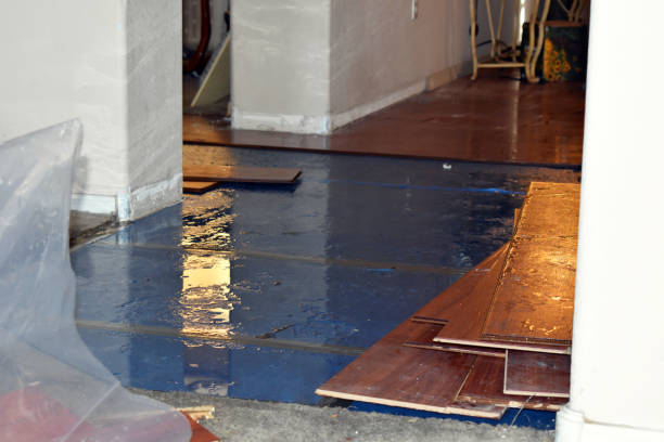 Professional Sewage Cleanup technician working in Lyons, MI
